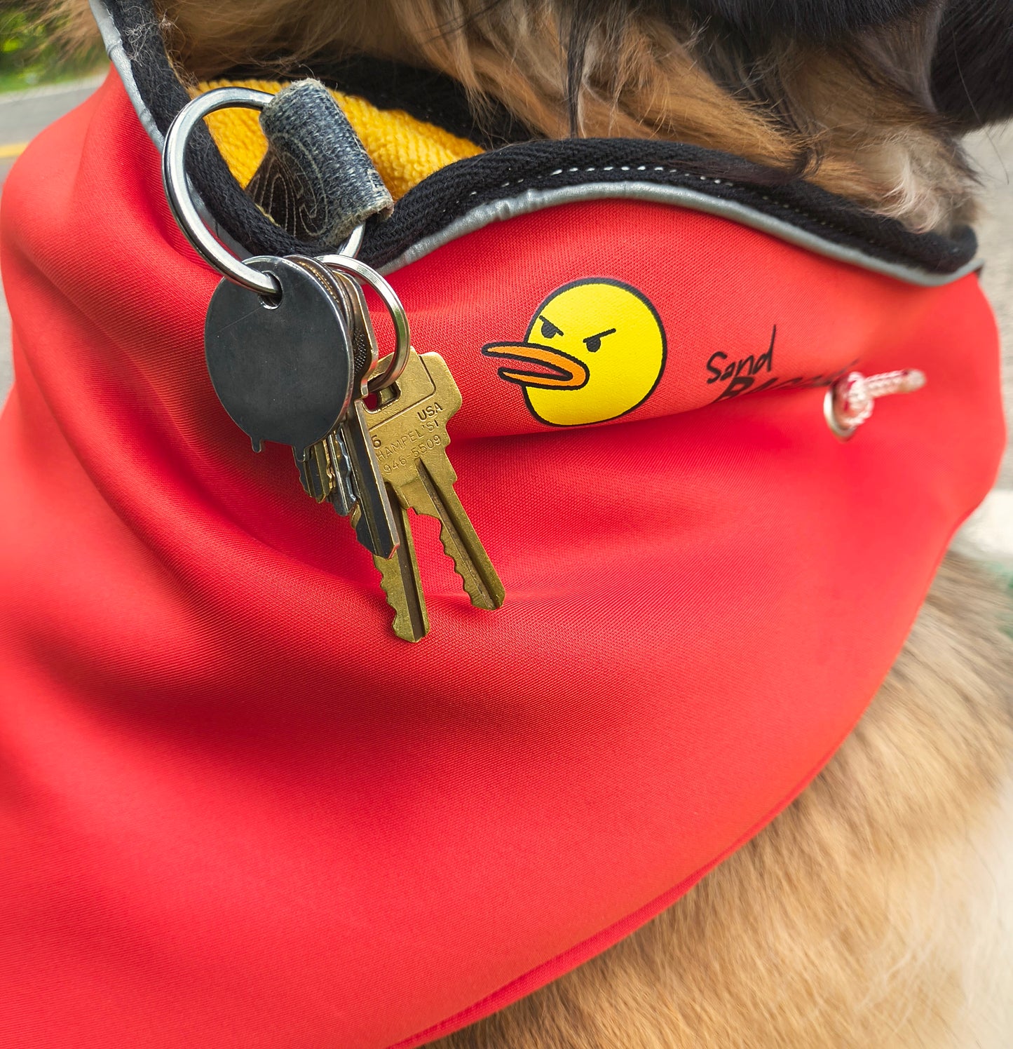 Bagdana Ultimate Dog Bandana