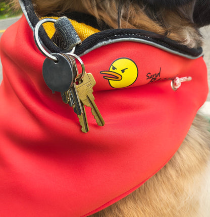 Bagdana Ultimate Dog Bandana