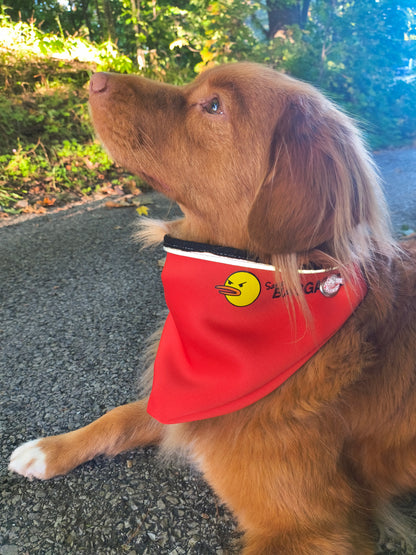 Bagdana Ultimate Dog Bandana