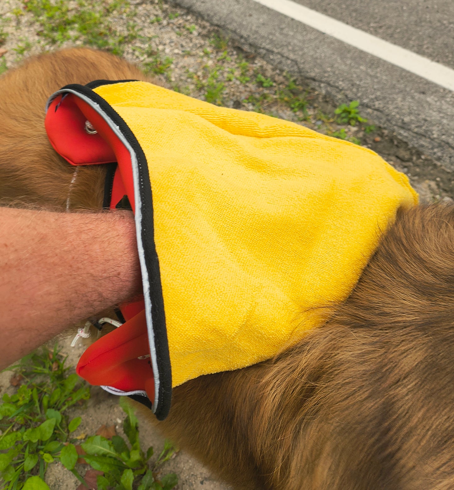Bagdana Ultimate Dog Bandana